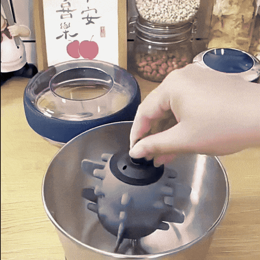 Blitz - 4 En 1 Hachoir Électrique Multifonction avec 2 Bols en Acier Inoxydable et éplucheur ail