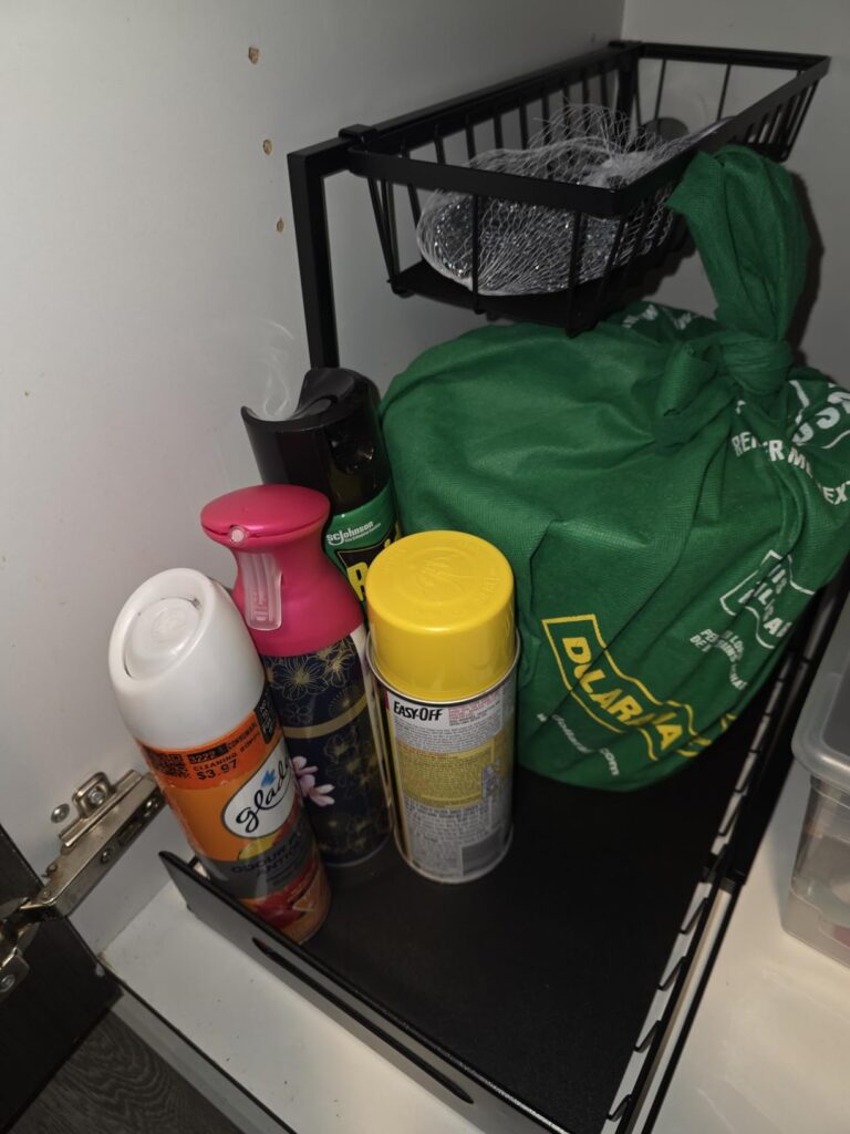 Image #1 de Hind Hannechi