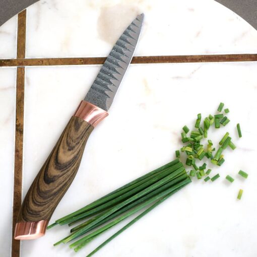Coffret de couteaux de cuisine en Bois du Namiutsu & Pierre Swiss·Q 6 Pièces, en acier inoxydable