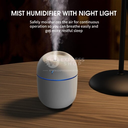 Humidificateur d'œufs coloré ultrasonique portable de 250 ml avec lumière LED