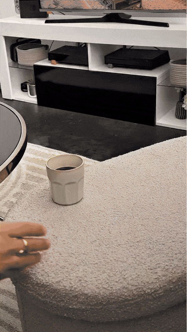 Blitz® – 5-in-1 Portable Professional Spot Cleaner, 750W Powerful & Quiet for Sofas, Carpets & Cars - Tunisie